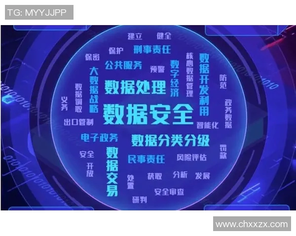 阿与网站的完美结合如何推动数字时代的创新与发展